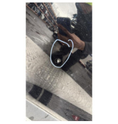 Porte avant gauche RENAULT CLIO 4 Photo n°5