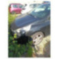 Renfort pare choc arriere (traverse) RENAULT CLIO 4