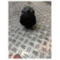 Pompe de direction RENAULT MASTER 2
