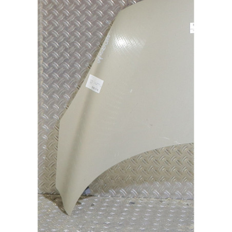 Capot RENAULT SCENIC 3