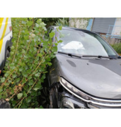 Cardan droit (transmission) CITROEN C3 3