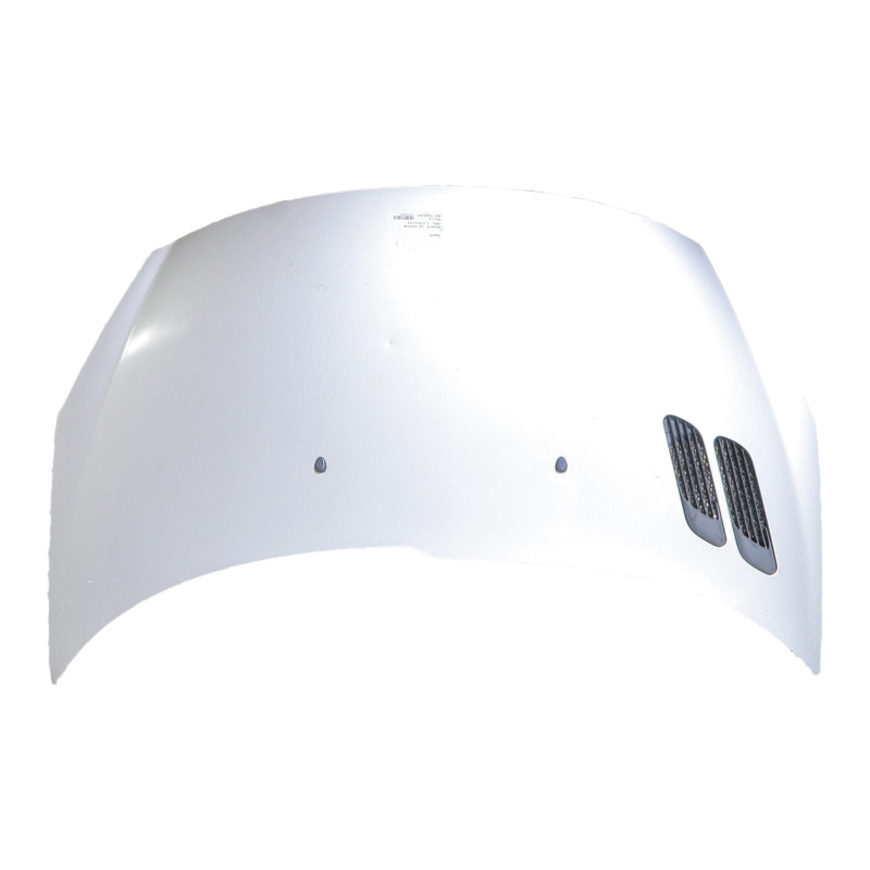 Capot PEUGEOT 206+