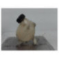Vase d'expansion CITROEN C3 2