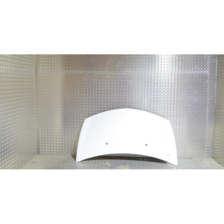Capot RENAULT CLIO 3 Photo n°1