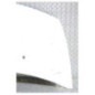 Capot RENAULT CLIO 3