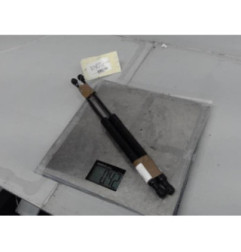 Verin de coffre DS DS3 Photo n°1