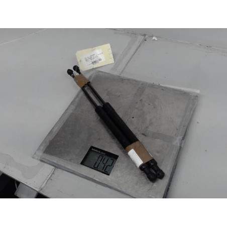 Verin de coffre DS DS3 Photo n°1