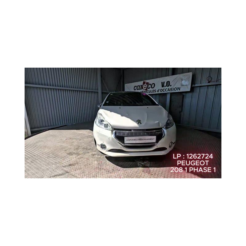Mastervac PEUGEOT 208 1