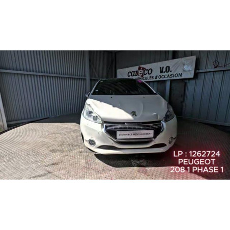 Mastervac PEUGEOT 208 1 Photo n°1