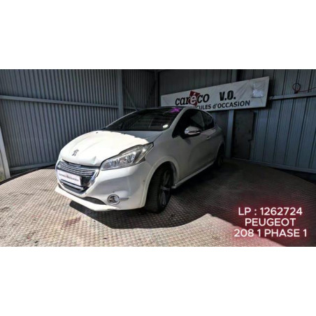 Mastervac PEUGEOT 208 1