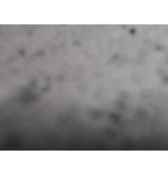 Attache ceinture avant droit FORD TRANSIT CONNECT 2