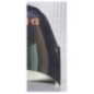 Capot OPEL CORSA D