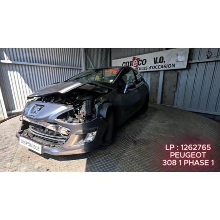 Mastervac PEUGEOT 308 1 Photo n°1