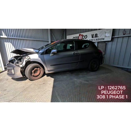 Mastervac PEUGEOT 308 1