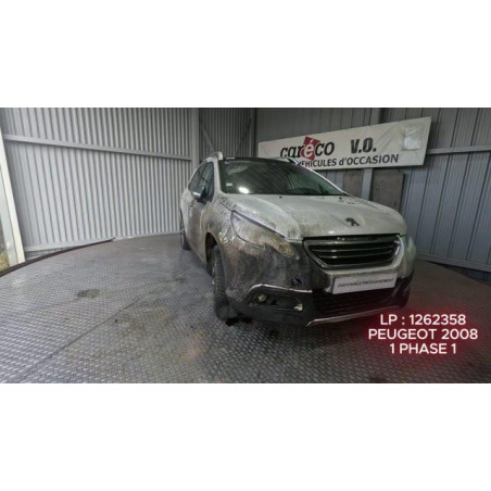 Mastervac PEUGEOT 2008 1 Photo n°1