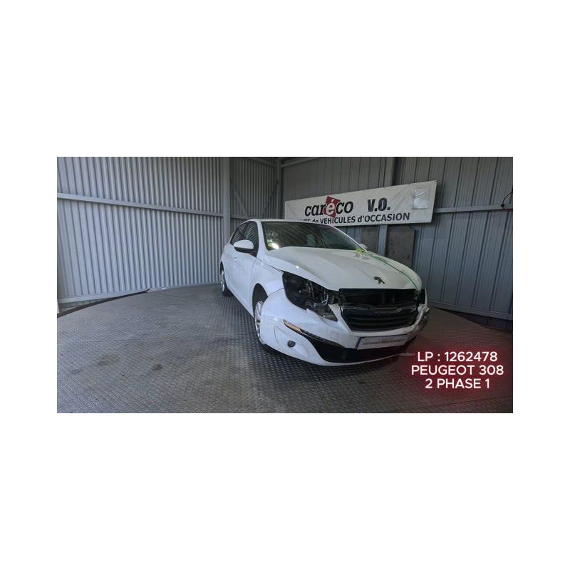 Mastervac PEUGEOT 308 2