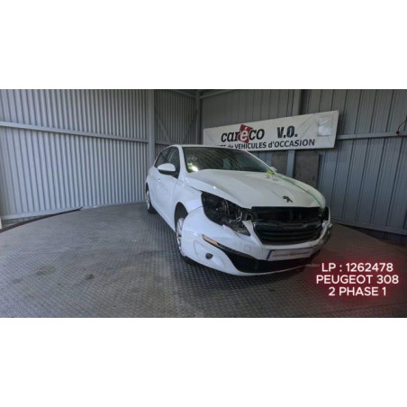 Mastervac PEUGEOT 308 2 Photo n°1
