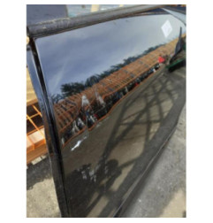 Porte arriere gauche RENAULT SCENIC 3