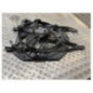 Ventilateur eau RENAULT TRAFIC 2