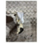 Commande chauffage RENAULT MASTER 2