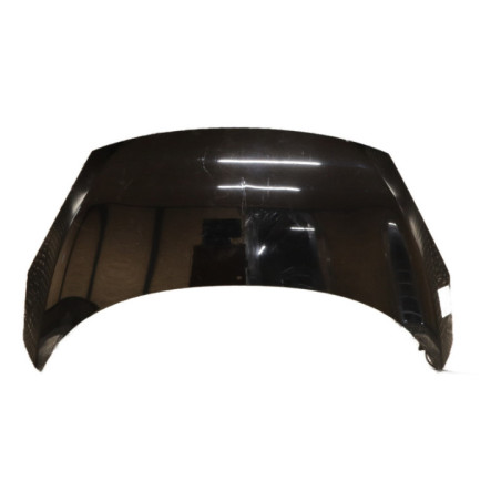 Capot RENAULT SCENIC 3 Photo n°1