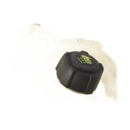 Vase d'expansion RENAULT MEGANE 4