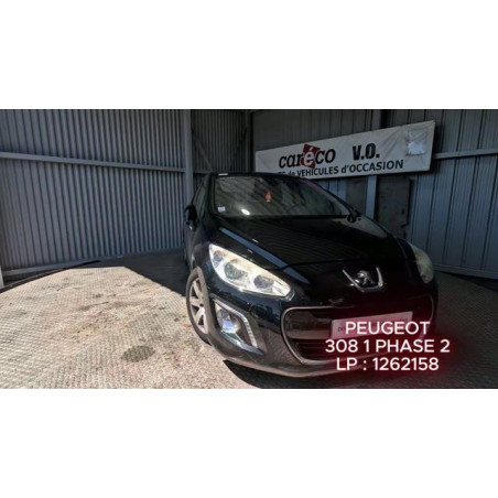 Mastervac PEUGEOT 308 1 Photo n°1