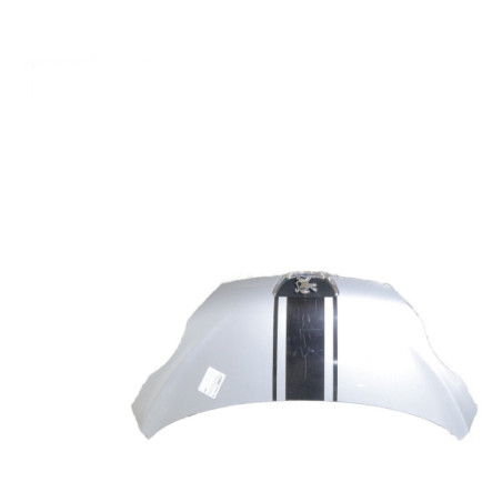 Capot PEUGEOT 107 Photo n°1