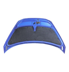 Capot RENAULT AVANTIME Photo n°4
