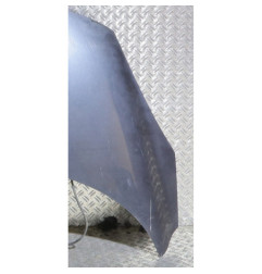 Capot RENAULT SCENIC 3 Photo n°3