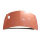 Capot RENAULT CLIO 3