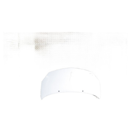 Capot RENAULT TWINGO 2 Photo n°1