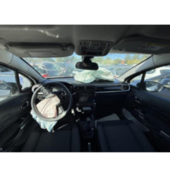 Porte arriere gauche CITROEN C3 3 Photo n°13