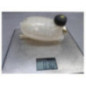 Vase d'expansion RENAULT CLIO 5