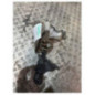 Levier de vitesses RENAULT TRAFIC 2