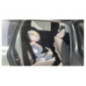 Radiateur eau DACIA JOGGER