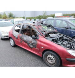 Vitre avant gauche PEUGEOT 206 Photo n°5