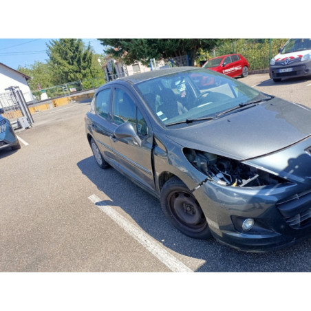 Mastervac PEUGEOT 207 Photo n°1