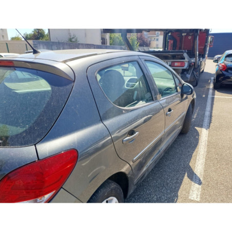 Mastervac PEUGEOT 207