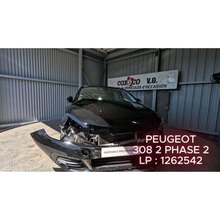 Ecran GPS PEUGEOT 308 2 Photo n°1