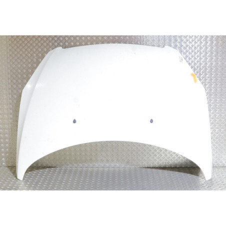 Capot PEUGEOT 307 Photo n°1