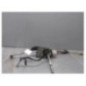 Cremaillere assistee CITROEN DS3