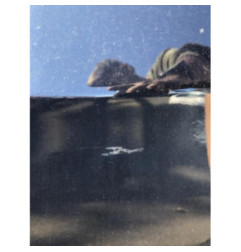 Porte avant gauche BMW SERIE 3 E92 Photo n°1