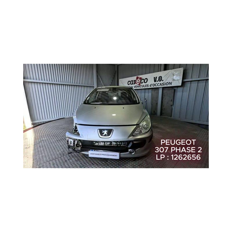 Mastervac PEUGEOT 307
