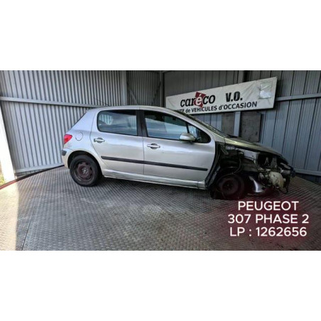 Capot PEUGEOT 307
