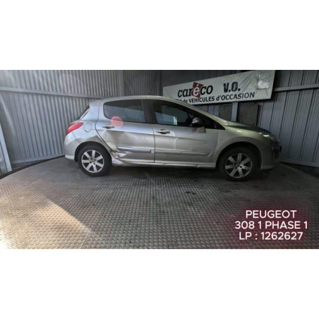 Mastervac PEUGEOT 308 1