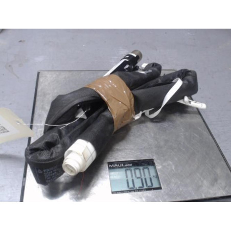 Air bag rideau droit RENAULT SCENIC 3 Photo n°1