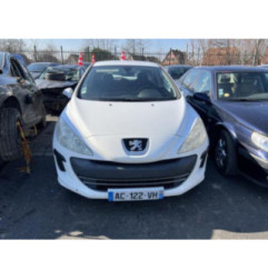 Porte avant droit PEUGEOT 308 1 Photo n°13