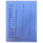 Ecran GPS DS DS3