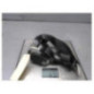 Ceinture avant gauche RENAULT GRAND SCENIC 3